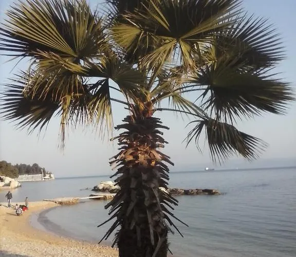 Klara Studio Lejlighed